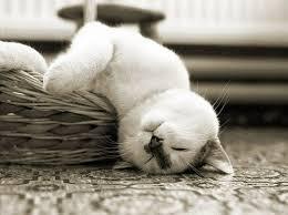 รูปประจำตัว